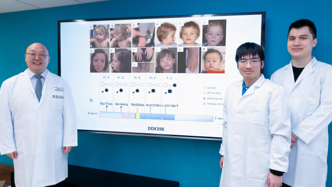 In a global study led by Dr Brian Chung Hong-yin (left), the HKUMed research team identifies a novel gene, DDX39B, for a rare disease. Genetic mutations in this gene impact brain function, leading to developmental delay and hypotonia.
 